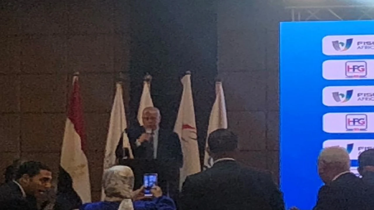 مصر تستعد لتعزيز دورها الإفريقي في الألعاب الجامعية ودعم الاستثمارات الرياضية